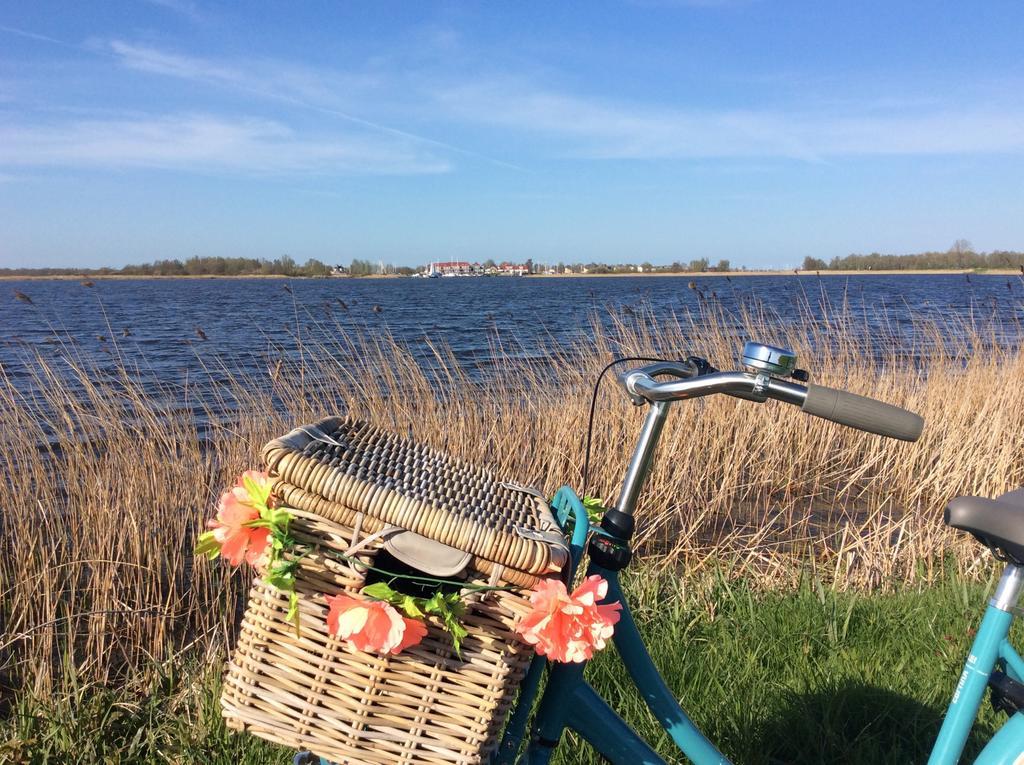 B&B De Pastory Warns Zewnętrze zdjęcie
